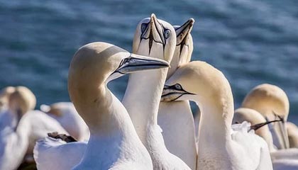 kering.com-捷足先登！门兴格拉德巴赫坚守主场实现胜利，门兴格拉德巴赫球队